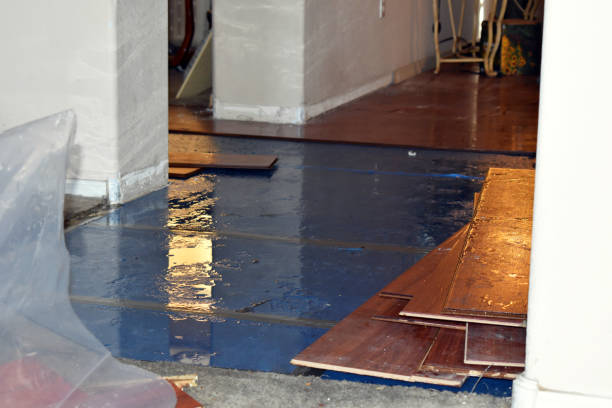 Professional Burst Pipe Cleanup technician working in Highland, KS